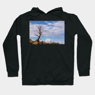 Bare tree Hoodie